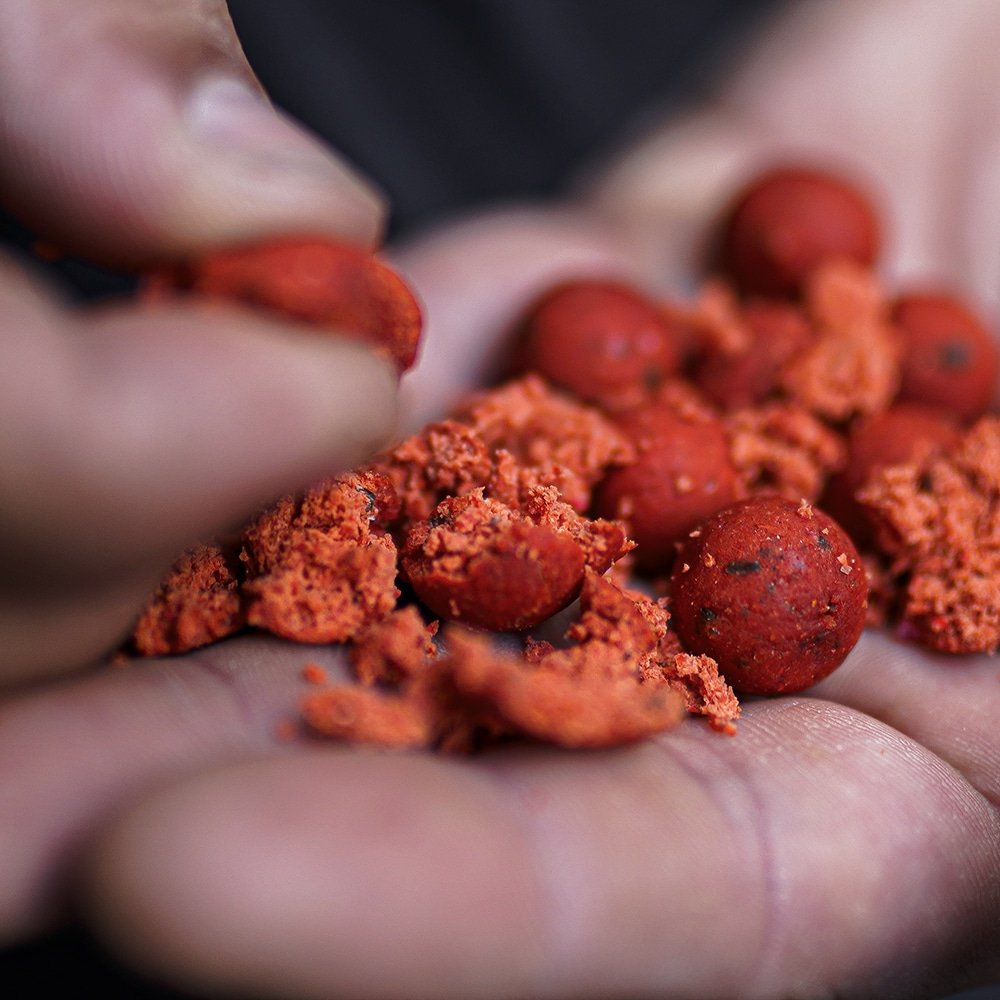 King Crab Boilies - Carp Fishing Bait
