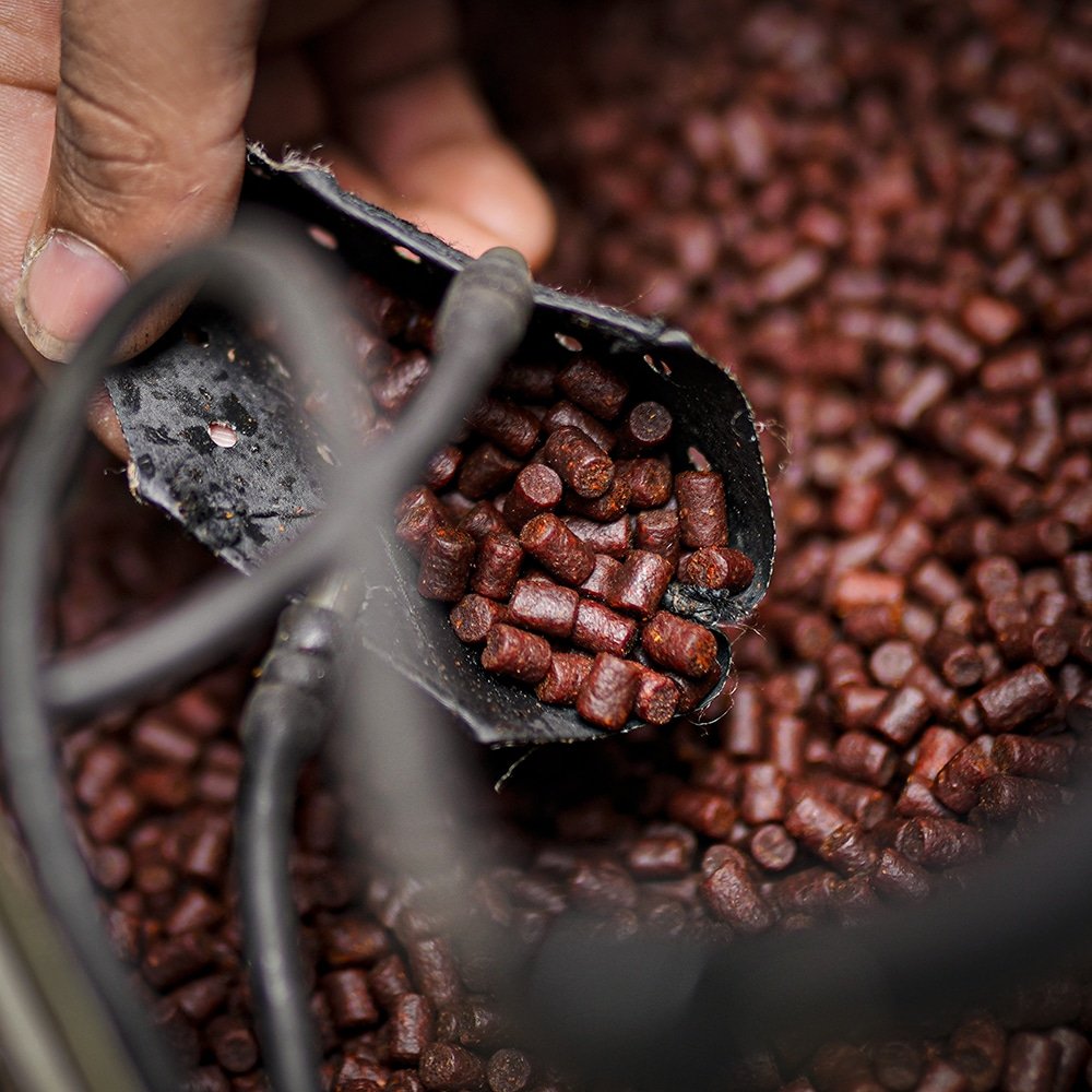 King Crab Pellets - Carp Fishing Bait