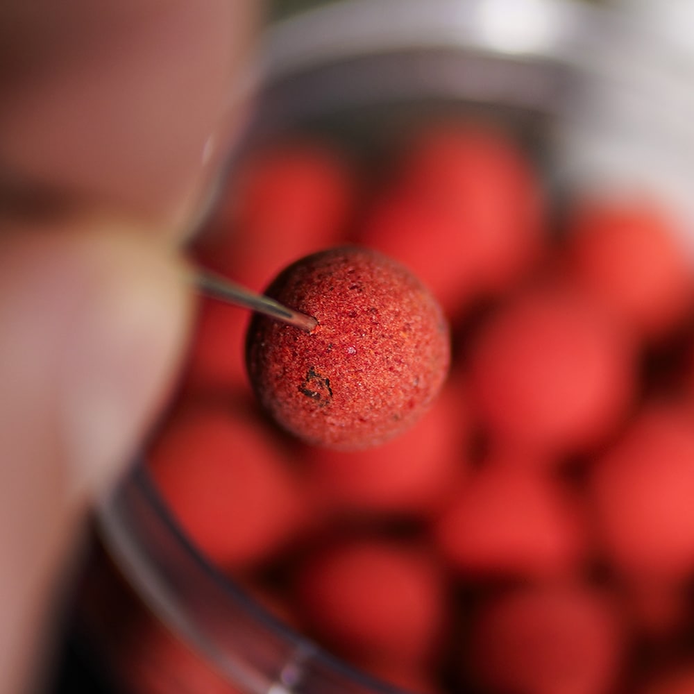 King Crab Wafters - Carp Fishing Bait