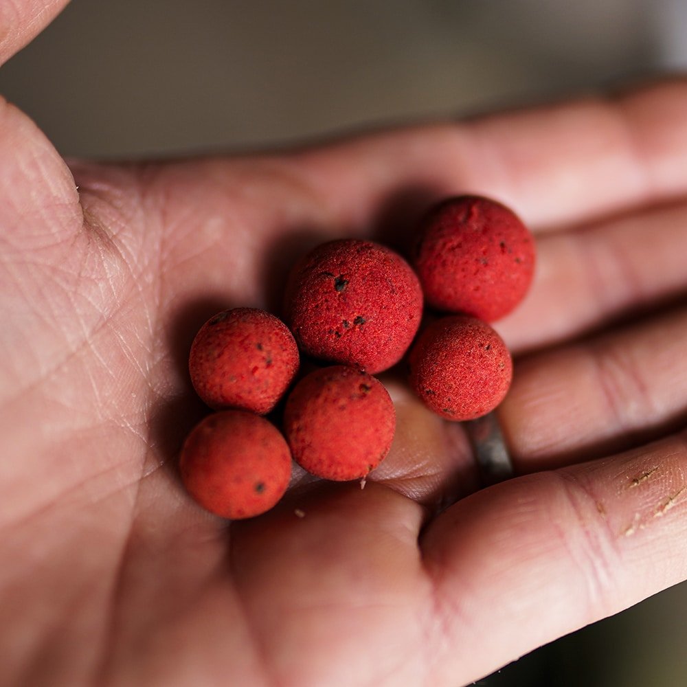 King Crab Wafters - Carp Fishing Bait