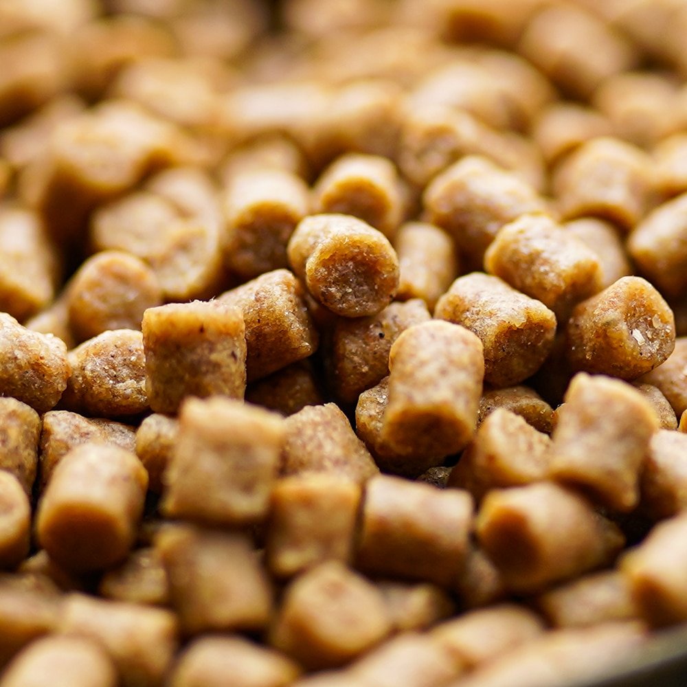 The Nut Mix Pellets - Carp Fishing Bait