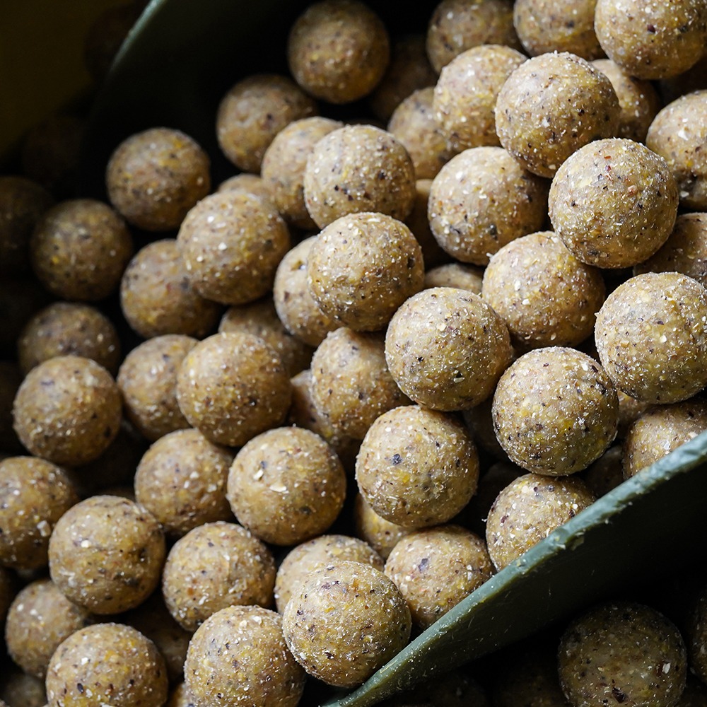 Cream Seed Boilies - Carp Fishing Bait