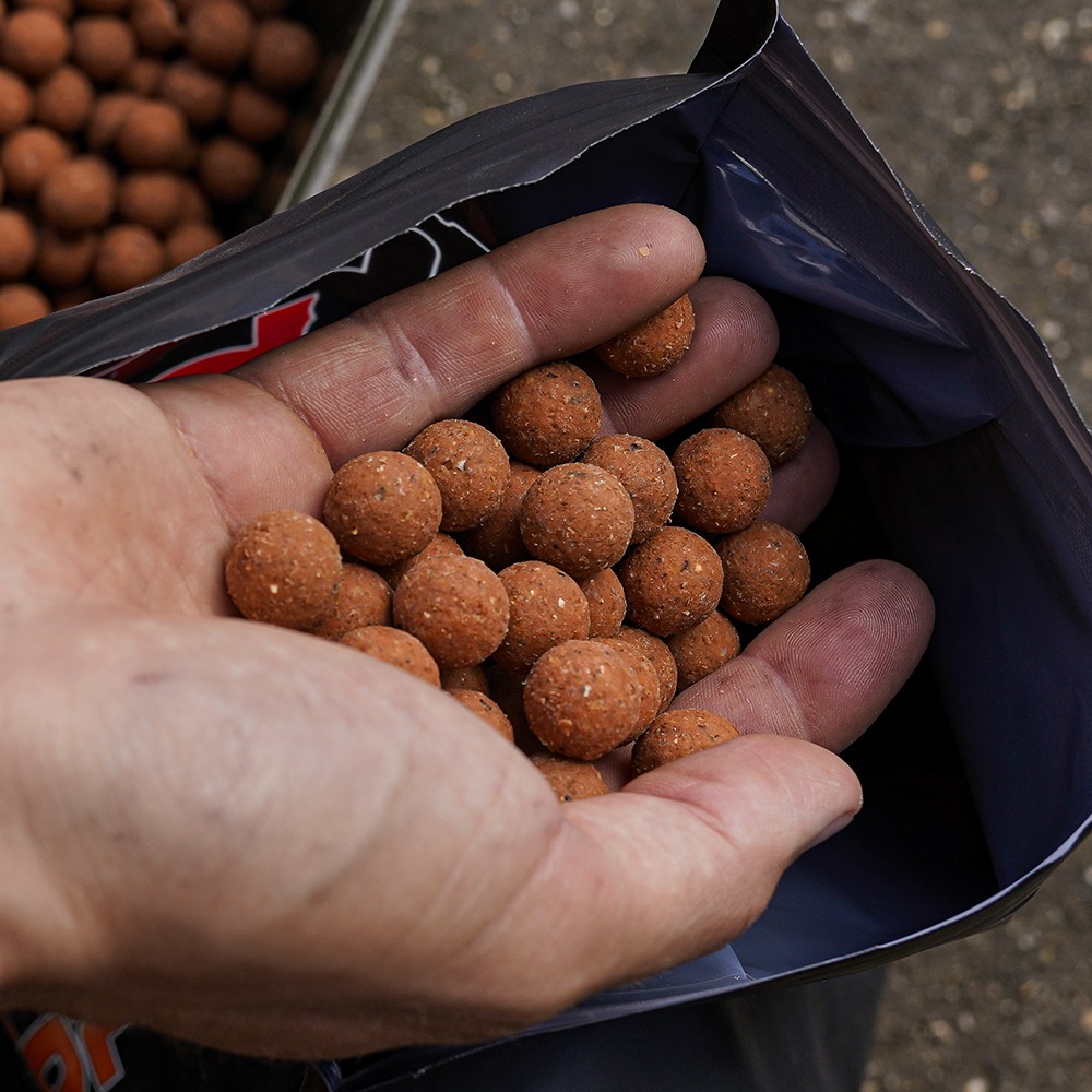 Krill Gold Boilies - Carp Fishing Bait